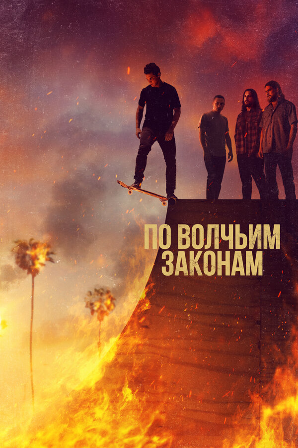 Смотреть По волчьим законам 6 сезон онлайн бесплатно в HD качестве на русском языке